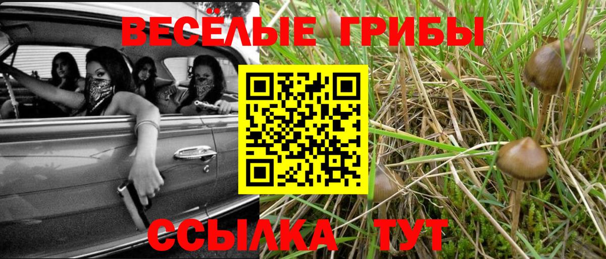 хочу   Псилоцибиновые грибы прущие грибы  Галлюциногенные грибы Psilocybine cubensis  Вход с VPN  Кушва 