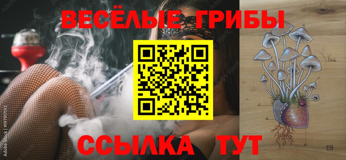 Галлюциногенные грибы Psilocybe Кушва